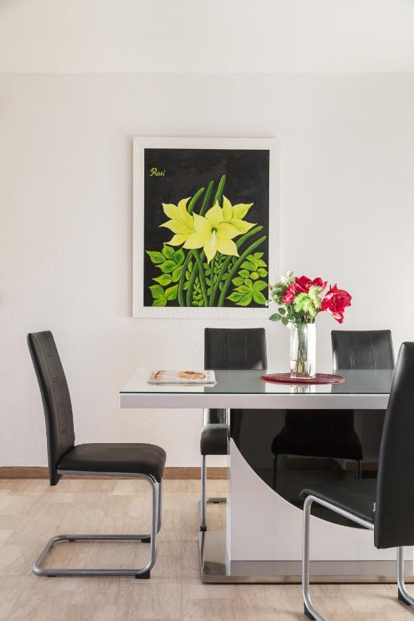 Villa Amaryllis Labin  Kültér fotó
