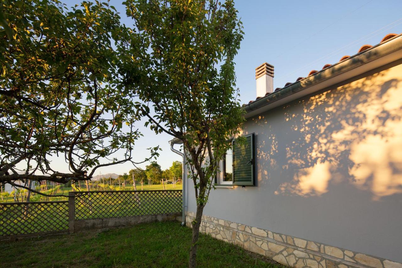 Villa Amaryllis Labin  Kültér fotó